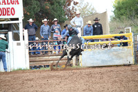 TaralgaRodeo2016_4468