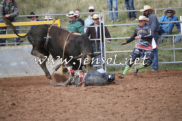 TaralgaRodeo2016_4631