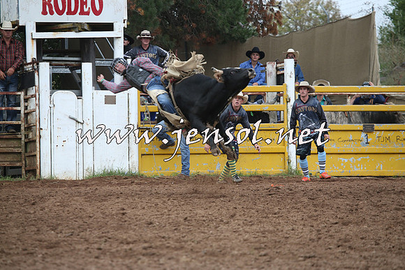 TaralgaRodeo2016_4410