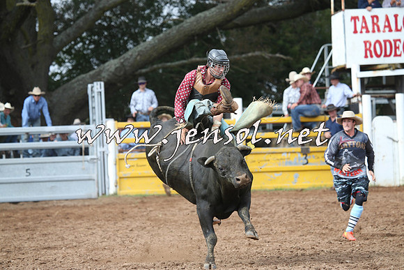 TaralgaRodeo2016_4554