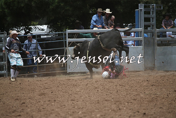 TaralgaRodeo2016_6580