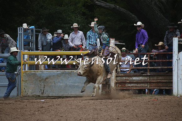 TaralgaRodeo2016_6790