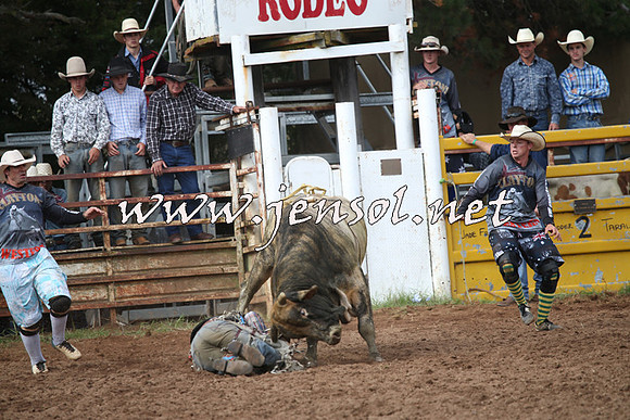 TaralgaRodeo2016_4583