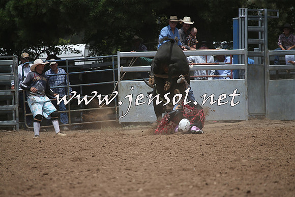 TaralgaRodeo2016_6583