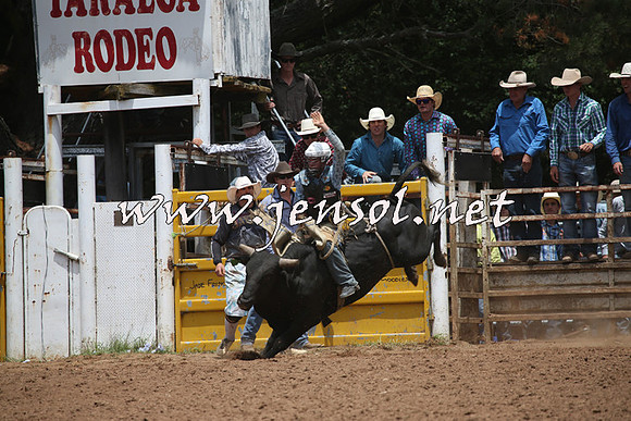 TaralgaRodeo2016_6617