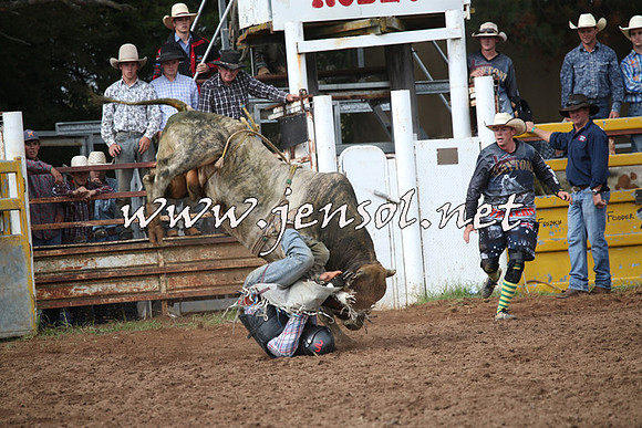 TaralgaRodeo2016_4579