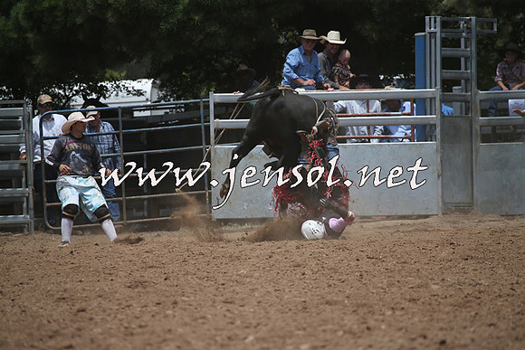 TaralgaRodeo2016_6584