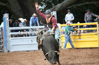 TaralgaRodeo2016_4539