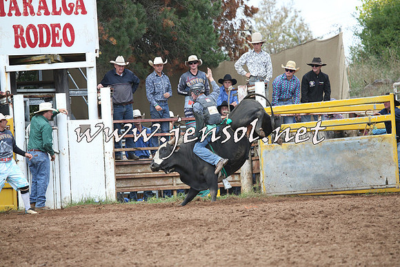 TaralgaRodeo2016_4459