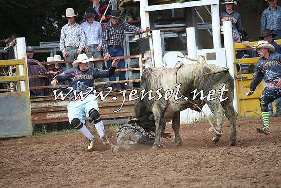TaralgaRodeo2016_4601