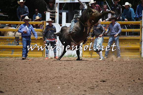 TaralgaRodeo2016_6708