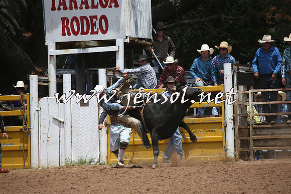 TaralgaRodeo2016_6634