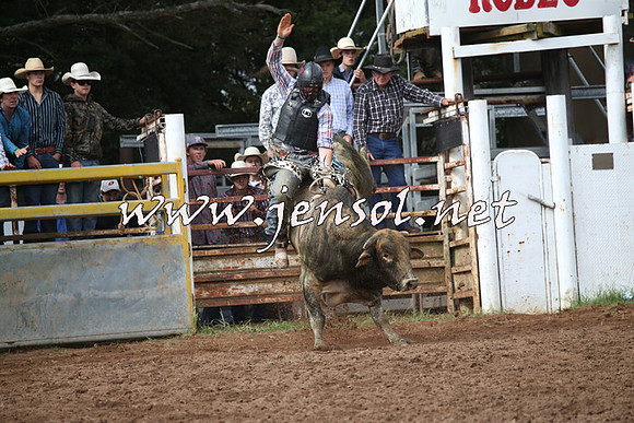 TaralgaRodeo2016_4567