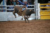 TaralgaRodeo2016_4445