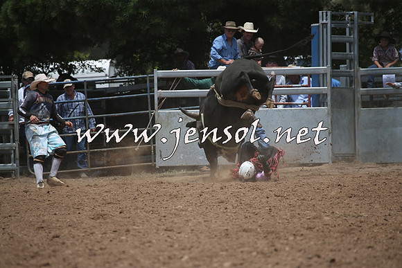 TaralgaRodeo2016_6581