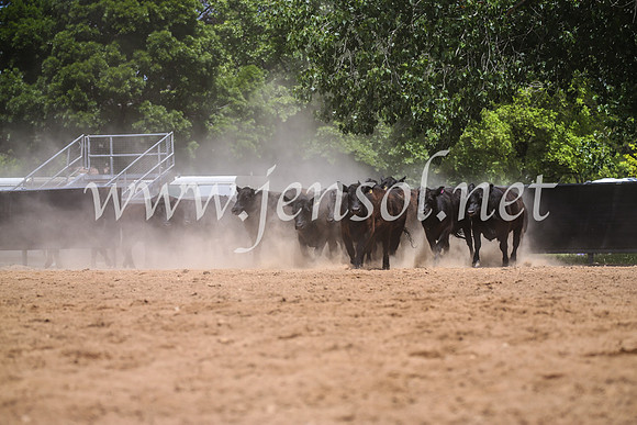 OrangeCampdraft2017_0307