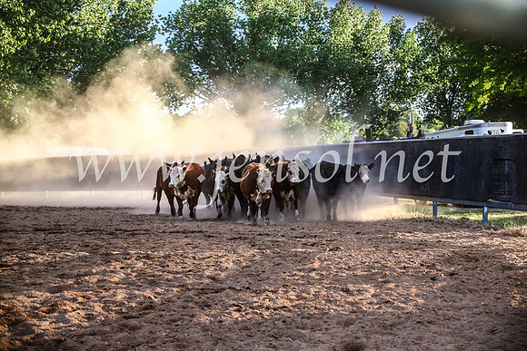 OrangeCampdraft2017_7064