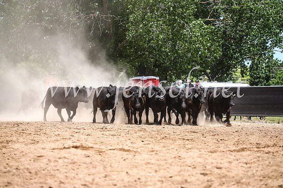 OrangeCampdraft2017_0312