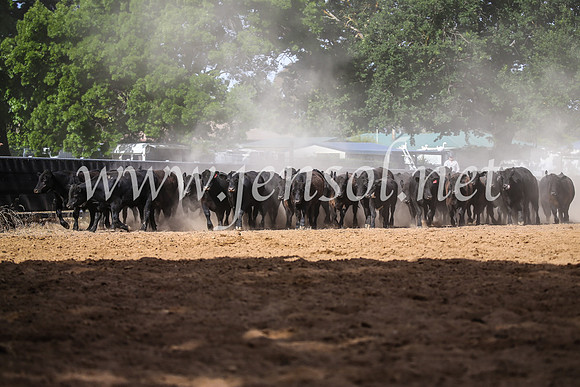 OrangeCampdraft2017_2319