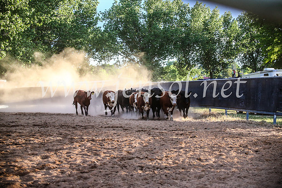 OrangeCampdraft2017_7058