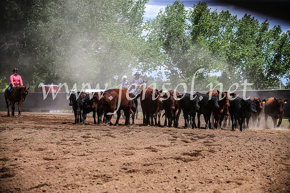OrangeCampdraft2017_5857