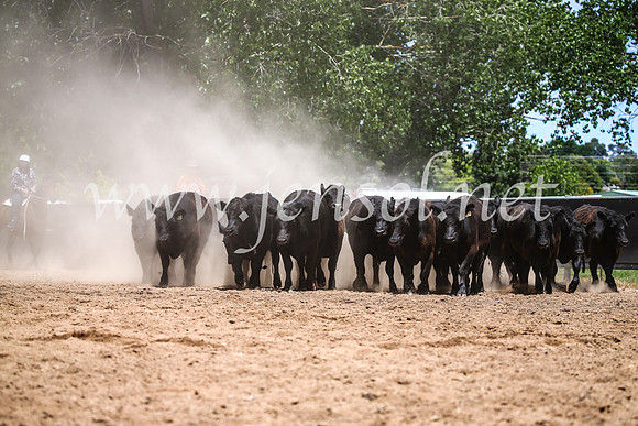 OrangeCampdraft2017_0313