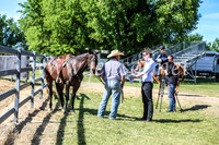 OrangeCampdraft2017Pres_3605
