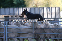 Taralga2015_0705