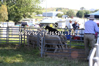 Taralga2015_0696