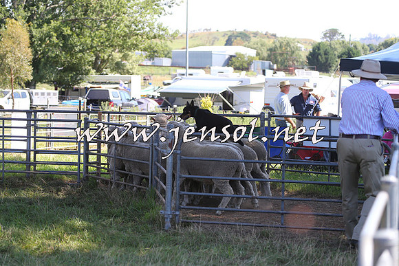 Taralga2015_0696