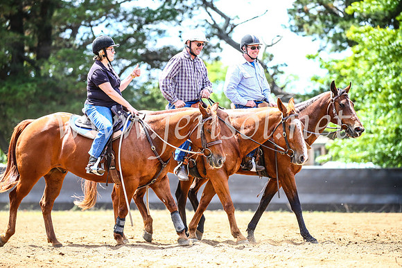 OrangeCampdraft2017_0043