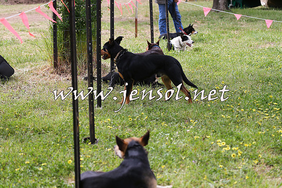 Battleonthebidgee_0185