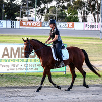 ANMS2018_1246