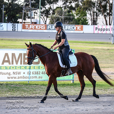 ANMS2018_1246