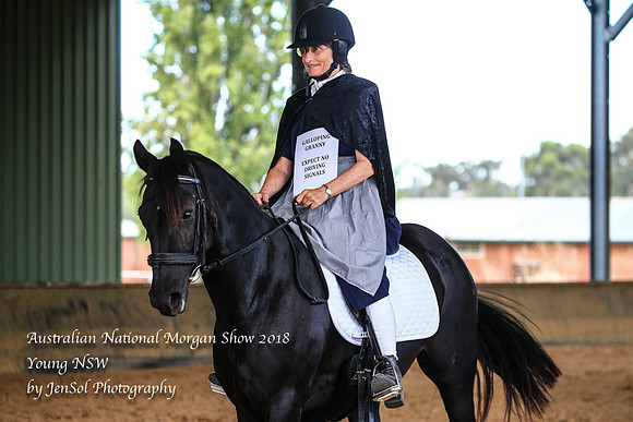 ANMS2018_1394