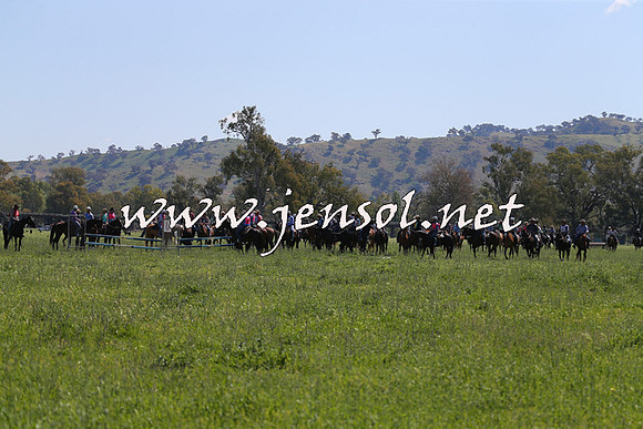 BattleoftheBidgee_0732