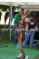BattleoftheBidgee_1686