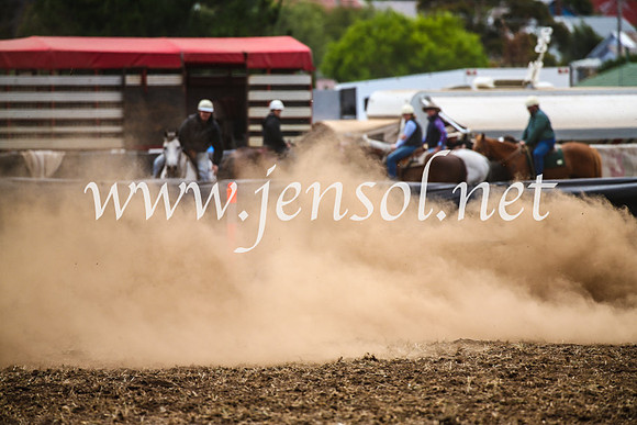 NimmitabelCampdraft2017_2731