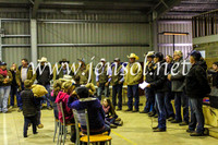 NimmitabelCampdraft2017_5831