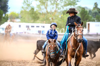 NimmitabelCampdraft2017_3355