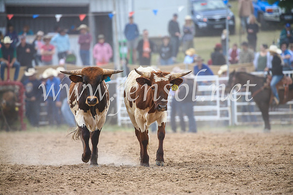 BungendoreRodeo2017_3953