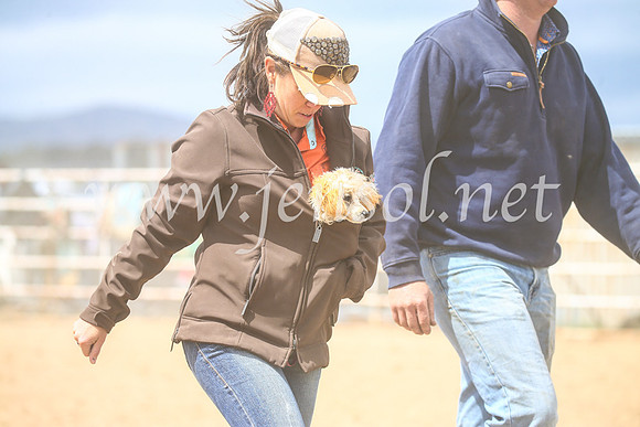 BungendoreRodeo2017_3964