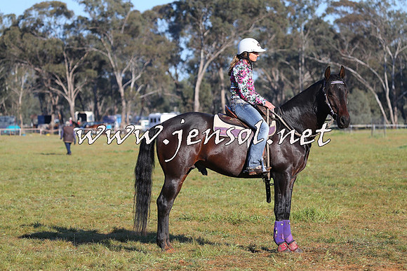 IllaboCampdraft2014_1067
