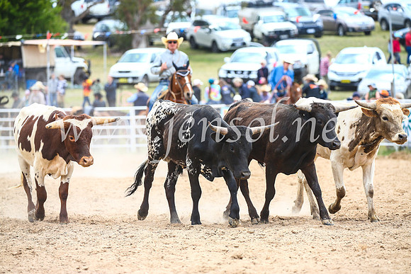 BungendoreRodeo2017_1727