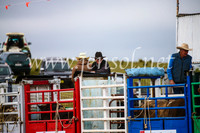 BungendoreRodeo2017_5405