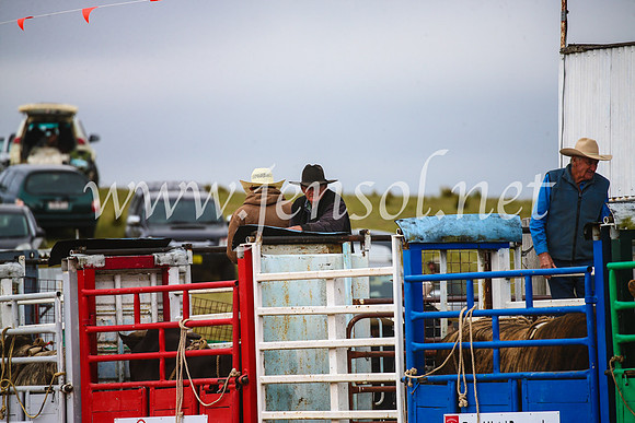 BungendoreRodeo2017_5405