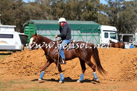 IllaboCampdraft2014_0185
