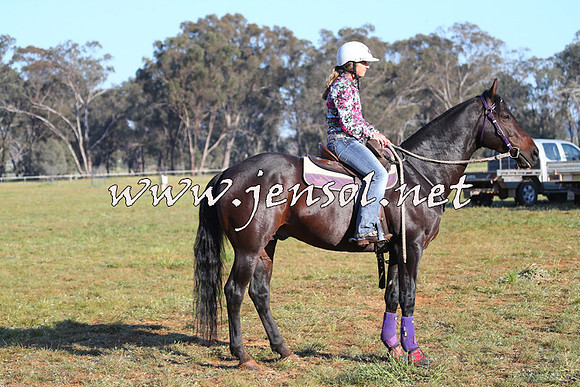 IllaboCampdraft2014_1024