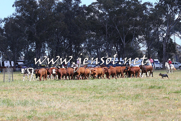 IllaboCampdraft2014_0329