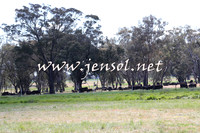 IllaboCampdraft2014_0427